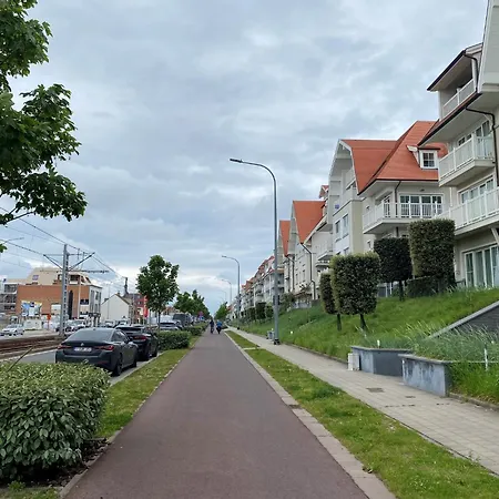 In Near The Marina Daire