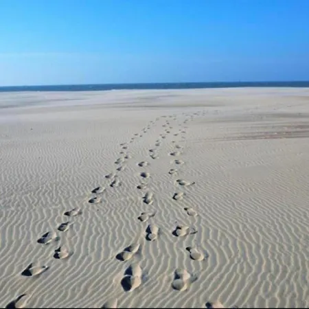 In Near The Marina *