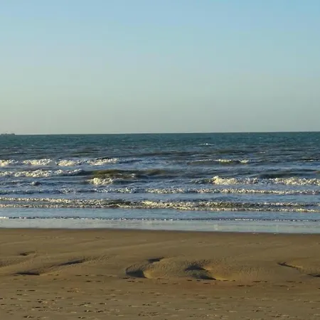 In Near The Marina *