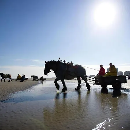 In Near The Marina *