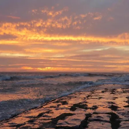 In Near The Marina *