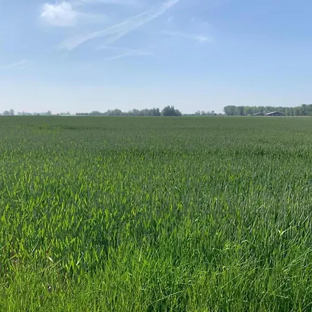 Appartement In Near The Marina