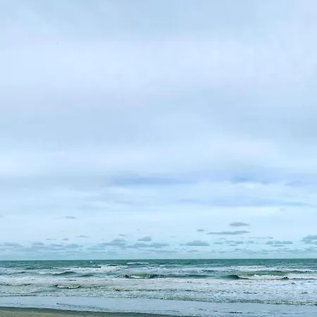 In Near The Marina *